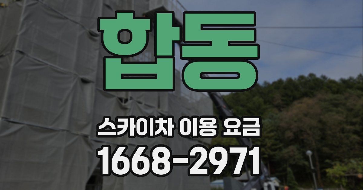 합동 스카이차 이용 요금