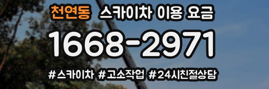 천연동 스카이차 이용 요금