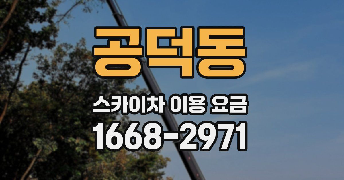 공덕동 스카이차 이용 요금