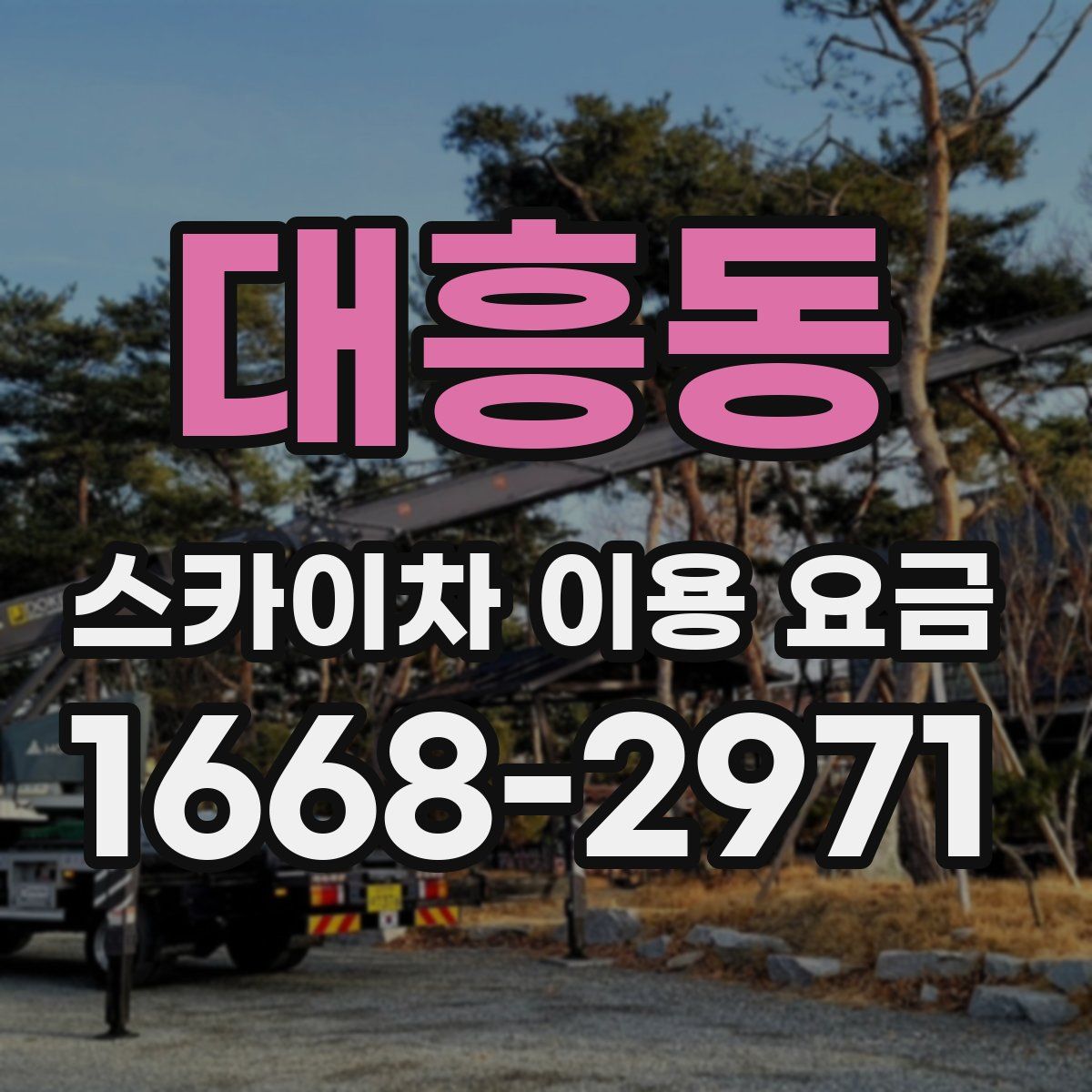 대흥동 스카이차 이용 요금