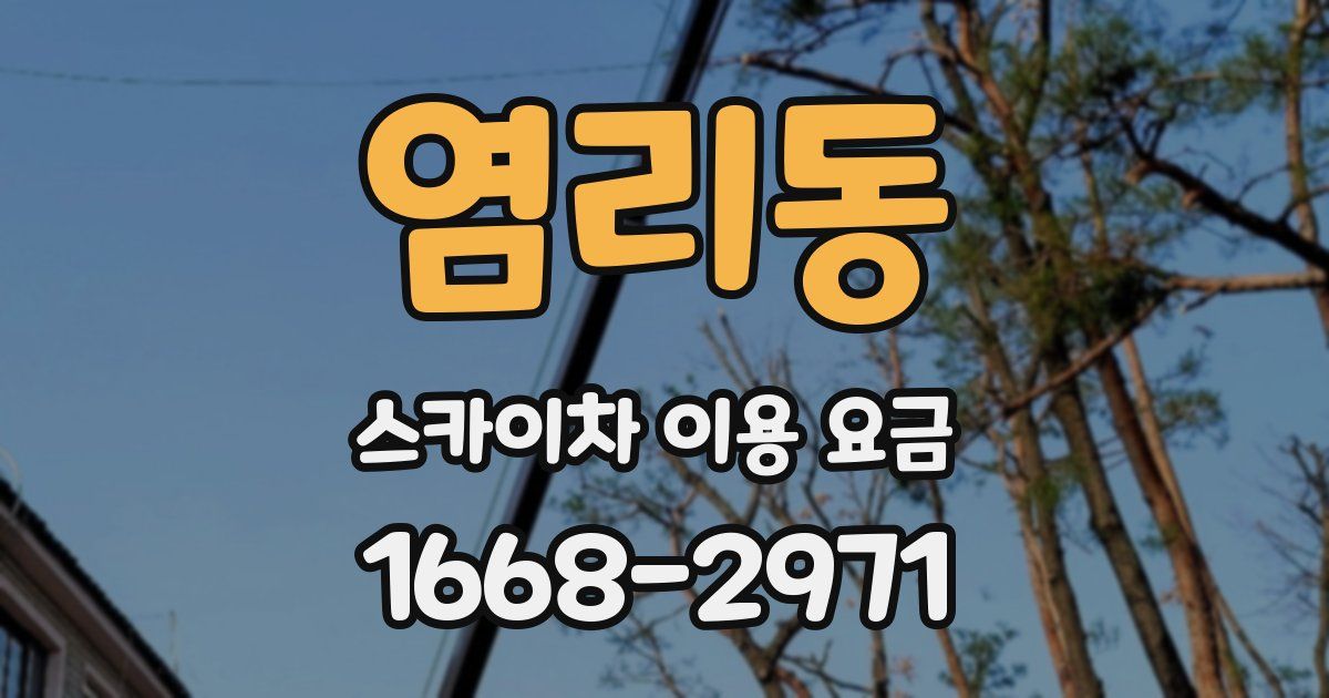 염리동 스카이차 이용 요금