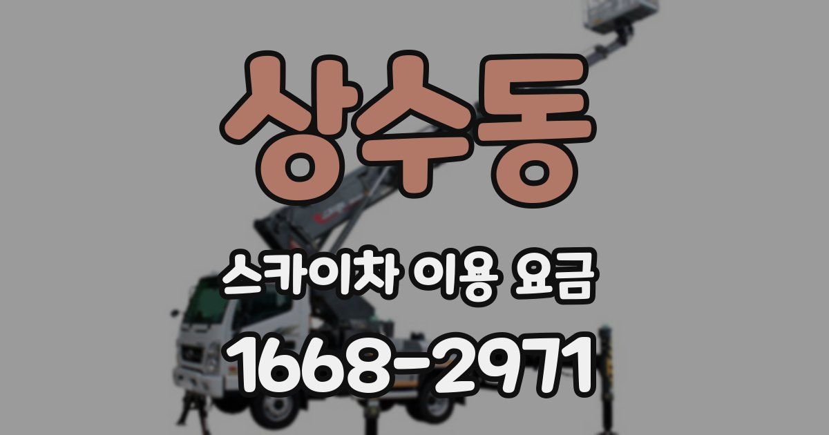 상수동 스카이차 이용 요금