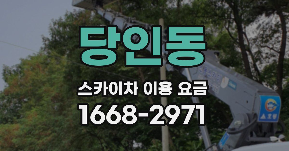 당인동 스카이차 이용 요금