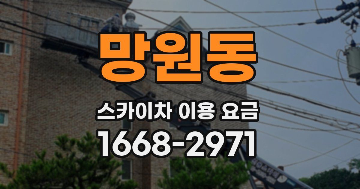 망원동 스카이차 이용 요금