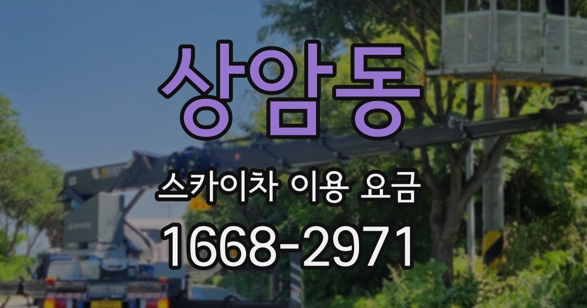 상암동 스카이차 이용 요금