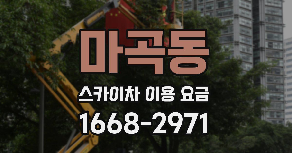 마곡동 스카이차 이용 요금