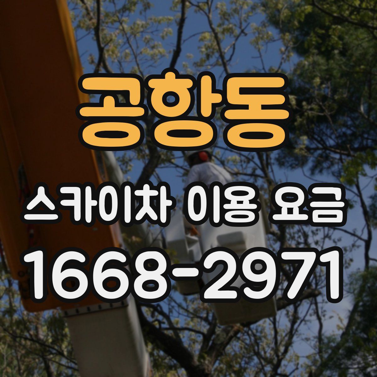 공항동 스카이차 이용 요금