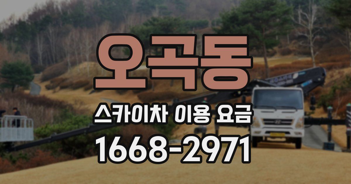 오곡동 스카이차 이용 요금