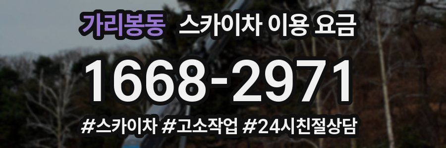 가리봉동 스카이차 이용 요금