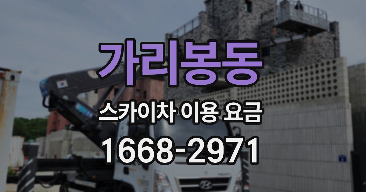 가리봉동 스카이차 이용 요금