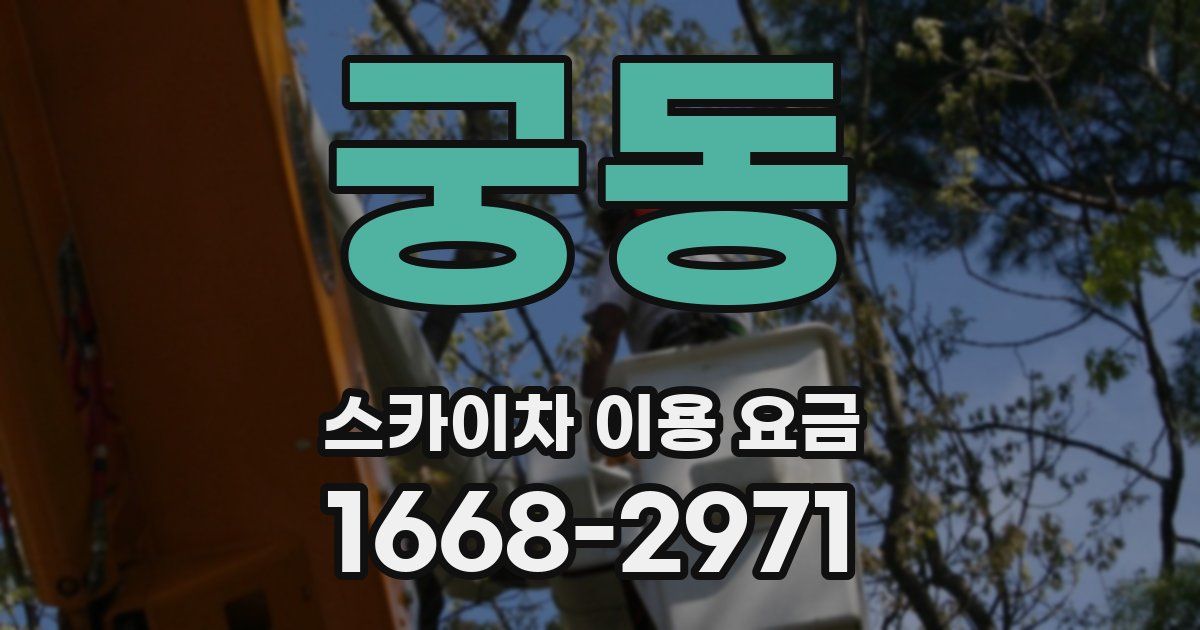 궁동 스카이차 이용 요금