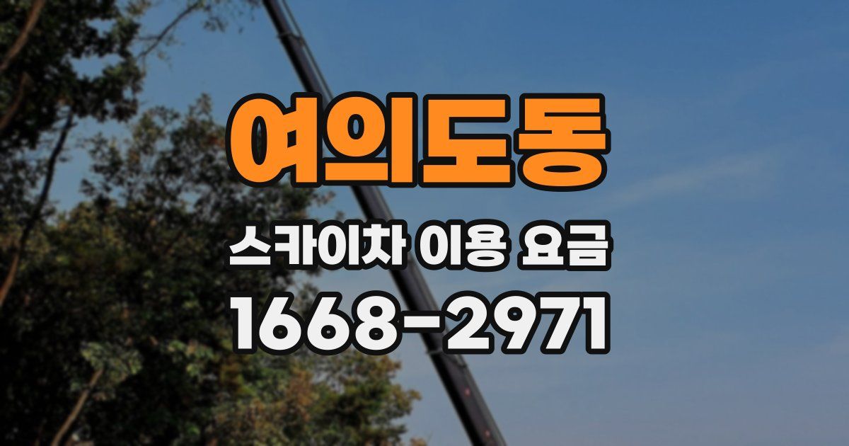 여의도동 스카이차 이용 요금