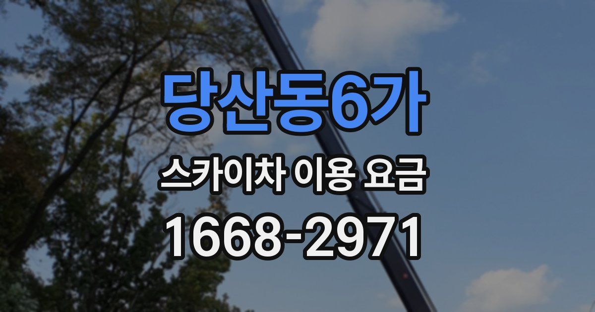 당산동6가 스카이차 이용 요금
