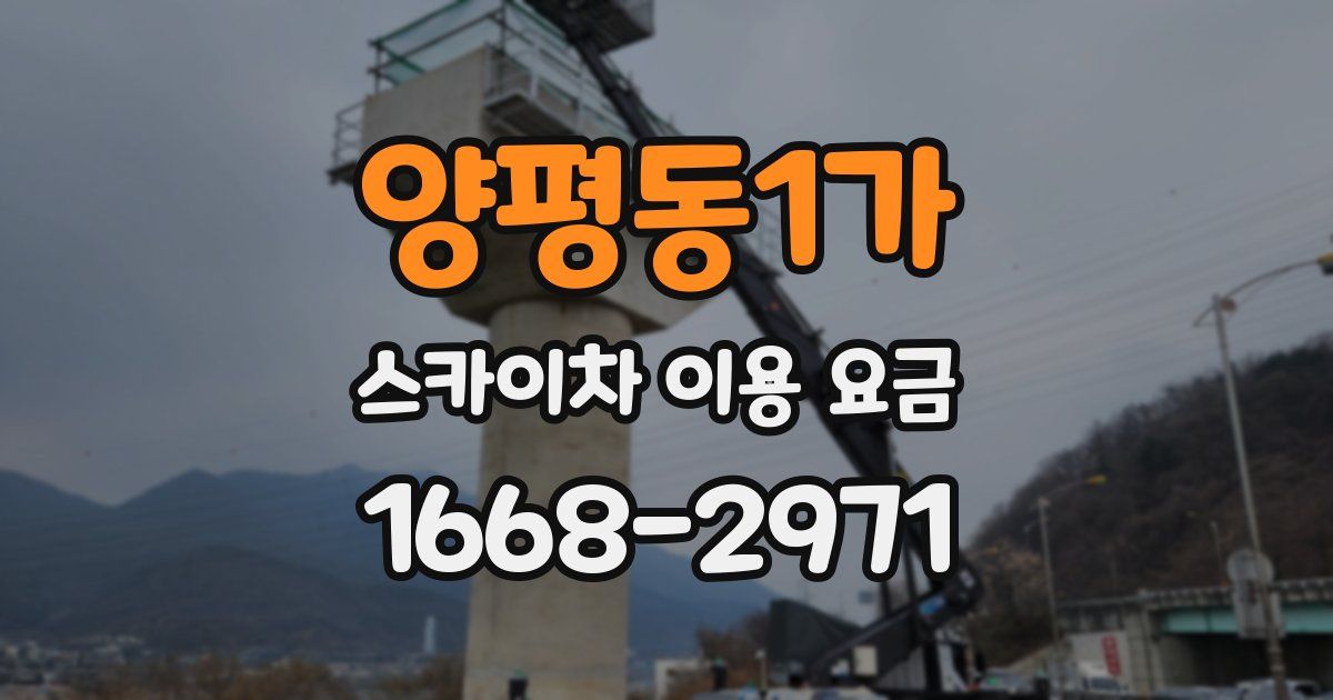 양평동1가 스카이차 이용 요금