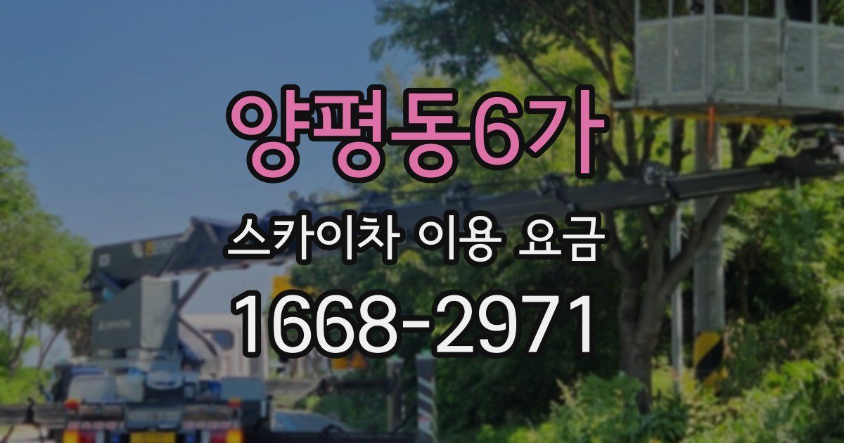 양평동6가 스카이차 이용 요금