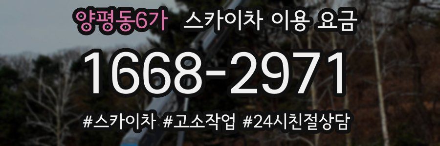 양평동6가 스카이차 이용 요금