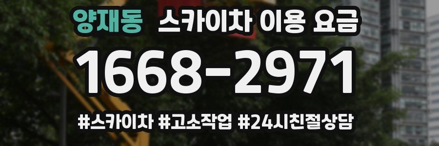 양재동 스카이차 이용 요금