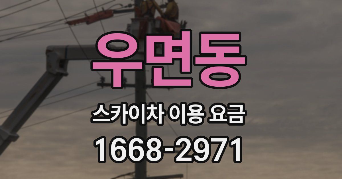 우면동 스카이차 이용 요금
