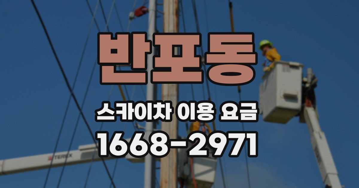 반포동 스카이차 이용 요금