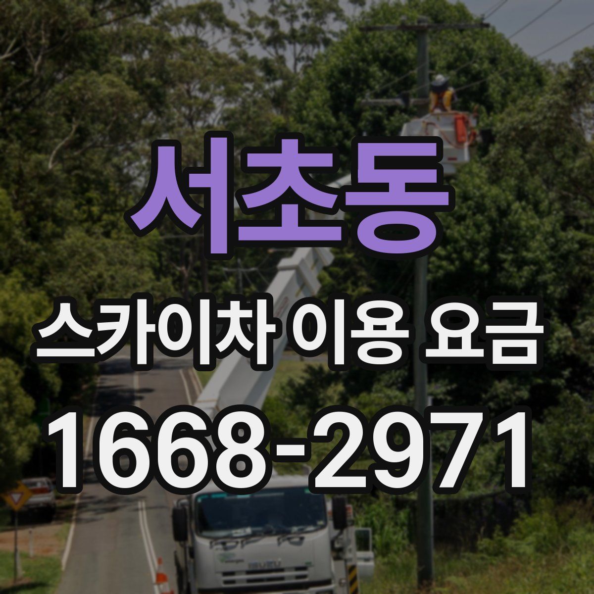 서초동 스카이차 이용 요금