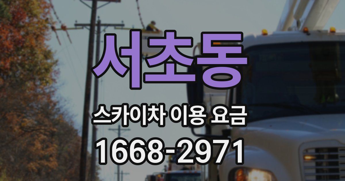 서초동 스카이차 이용 요금