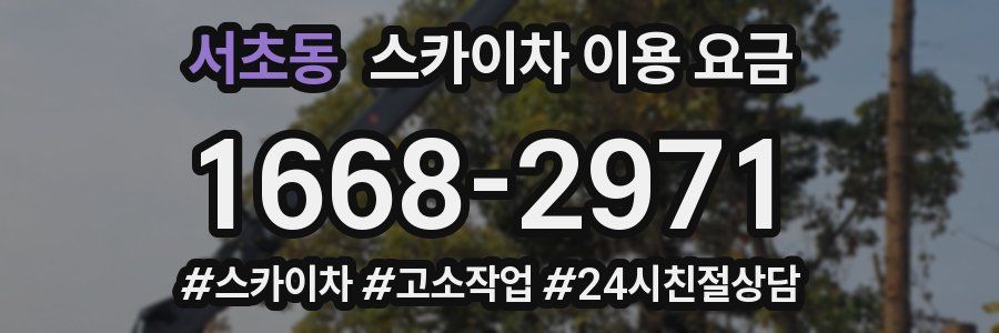 서초동 스카이차 이용 요금