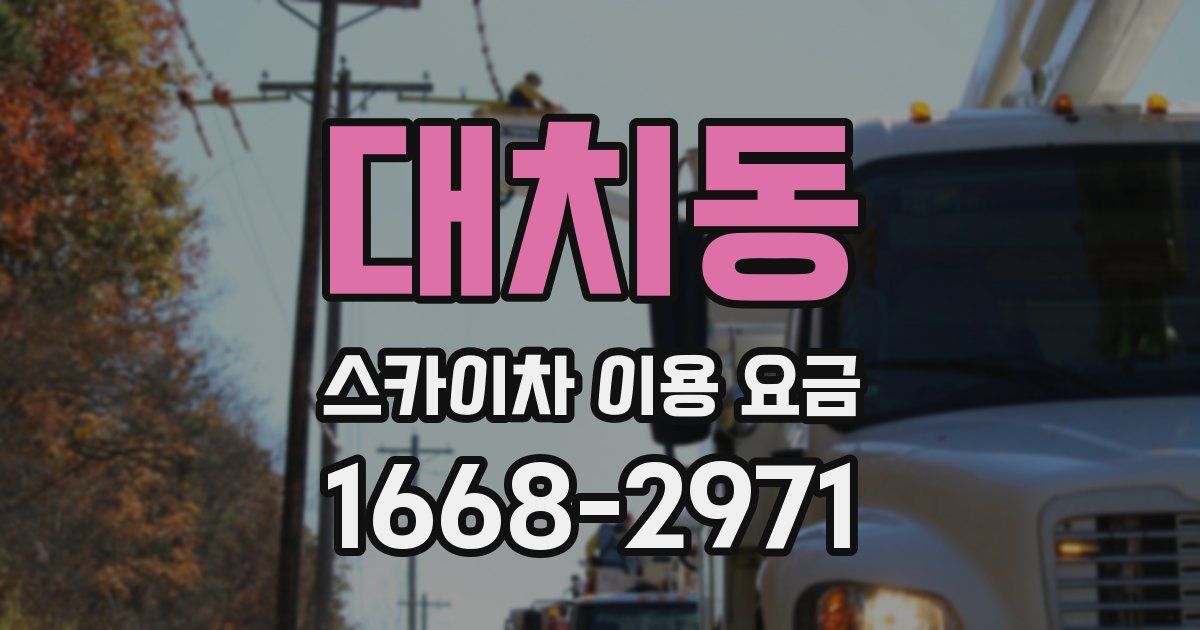 대치동 스카이차 이용 요금