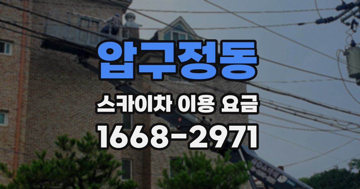 압구정동 스카이차 이용 요금