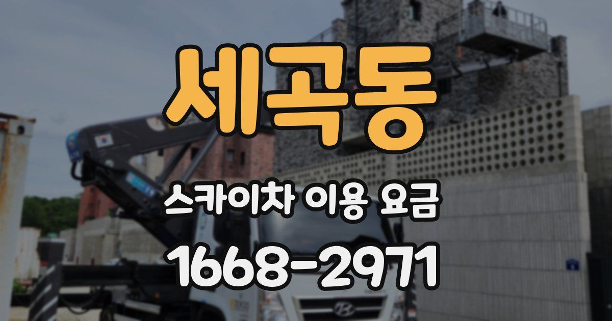 세곡동 스카이차 이용 요금