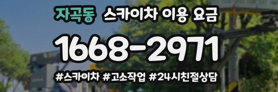 자곡동 스카이차 이용 요금