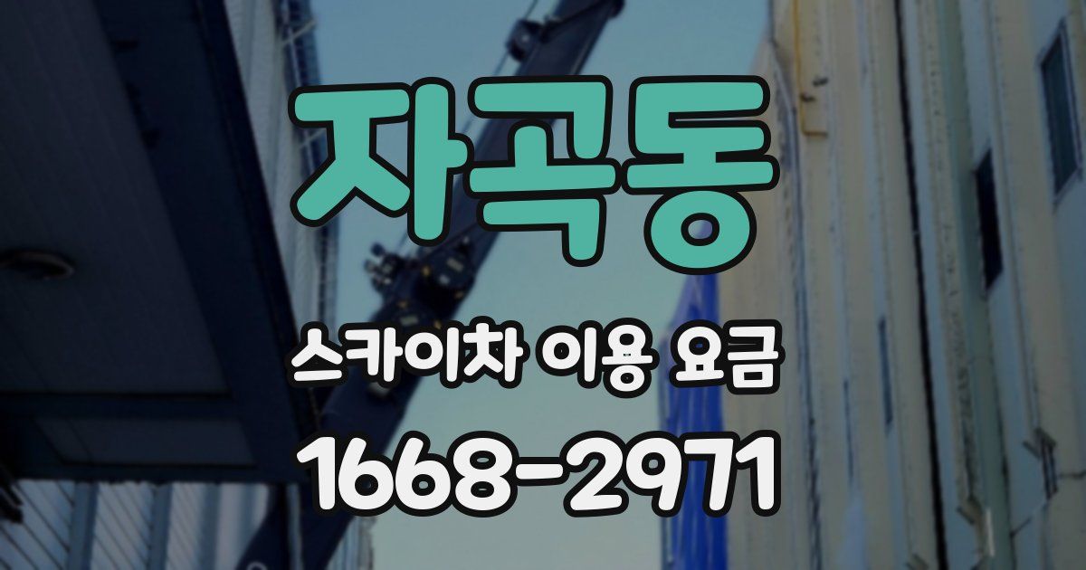 자곡동 스카이차 이용 요금