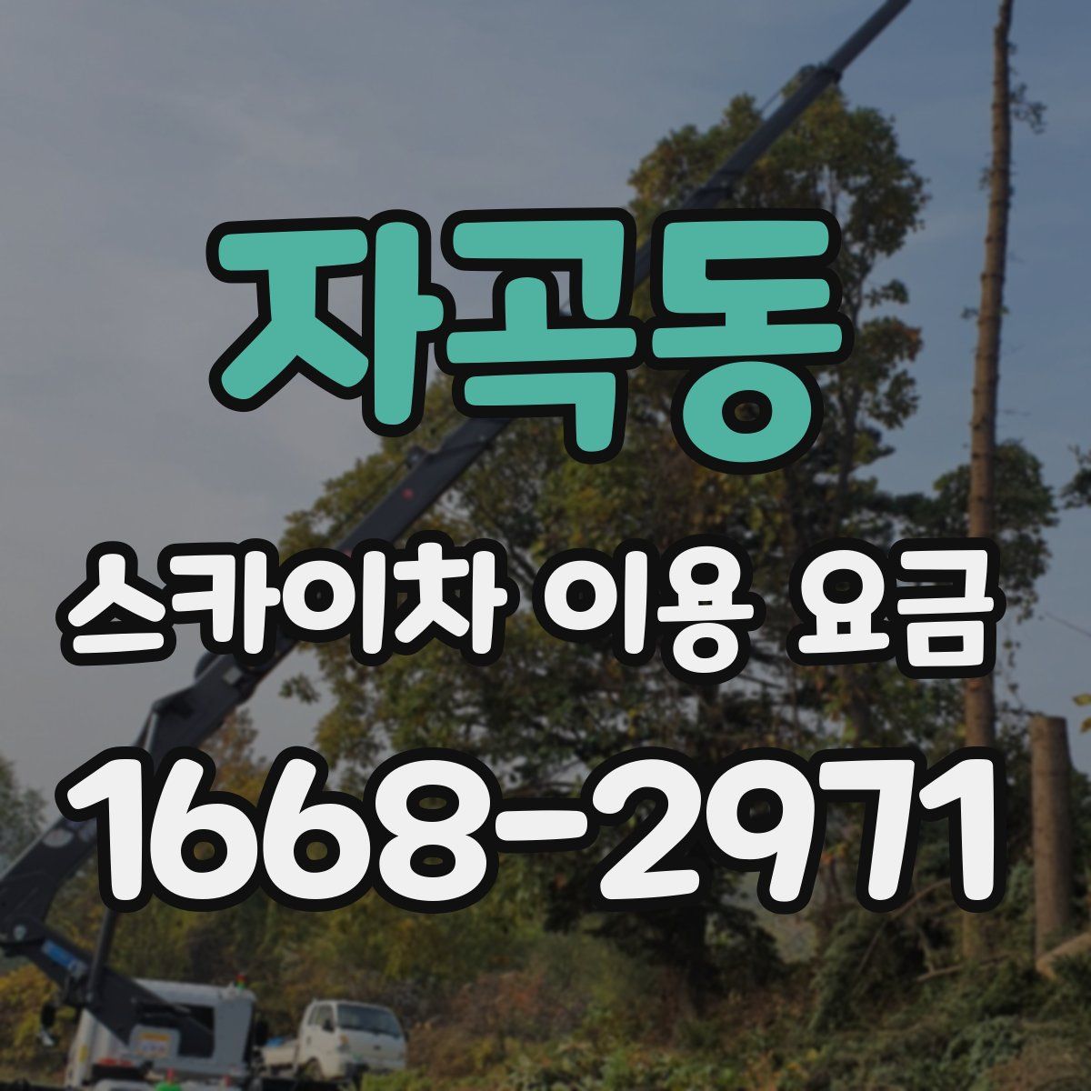 자곡동 스카이차 이용 요금