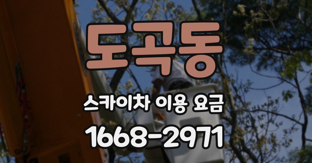 도곡동 스카이차 이용 요금