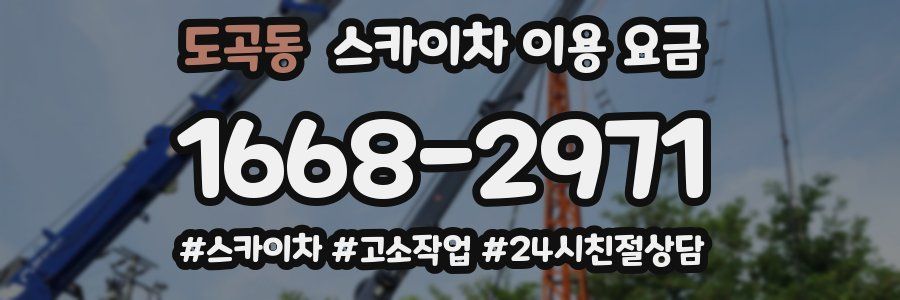 도곡동 스카이차 이용 요금