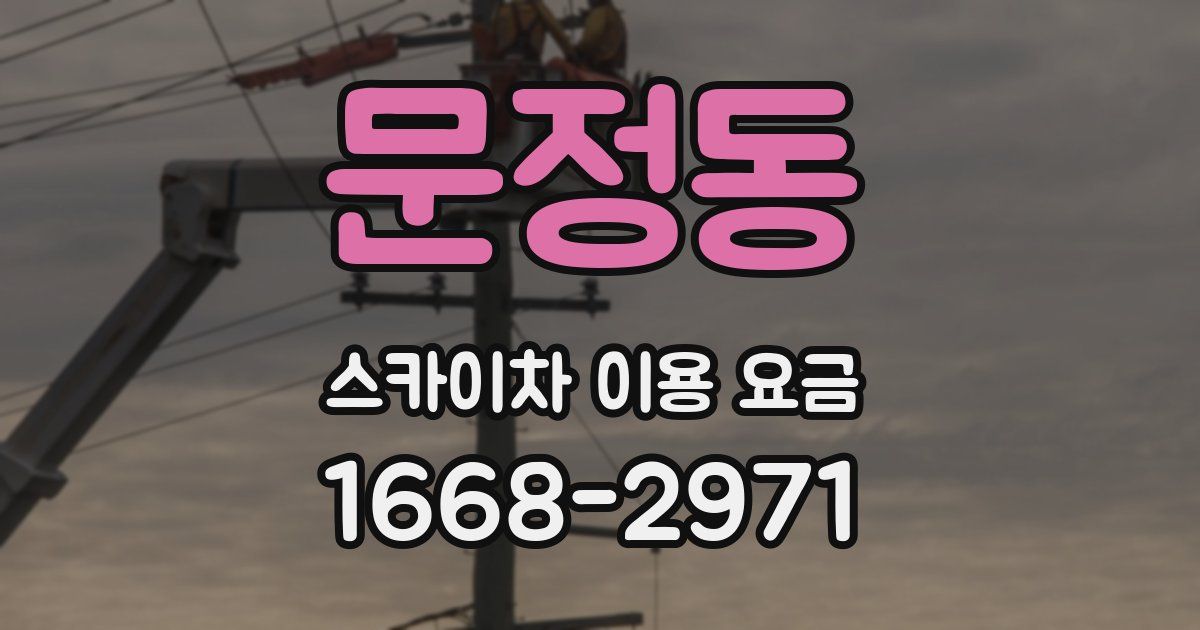 문정동 스카이차 이용 요금
