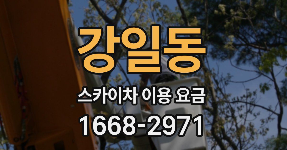강일동 스카이차 이용 요금