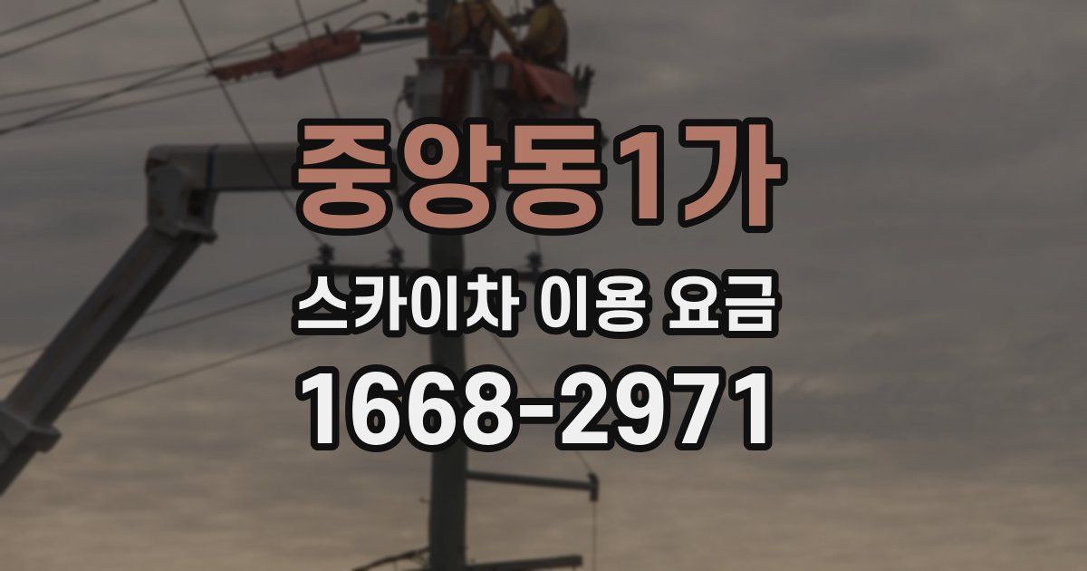 중앙동1가 스카이차 이용 요금