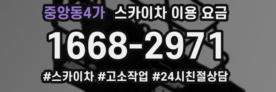 중앙동4가 스카이차 이용 요금