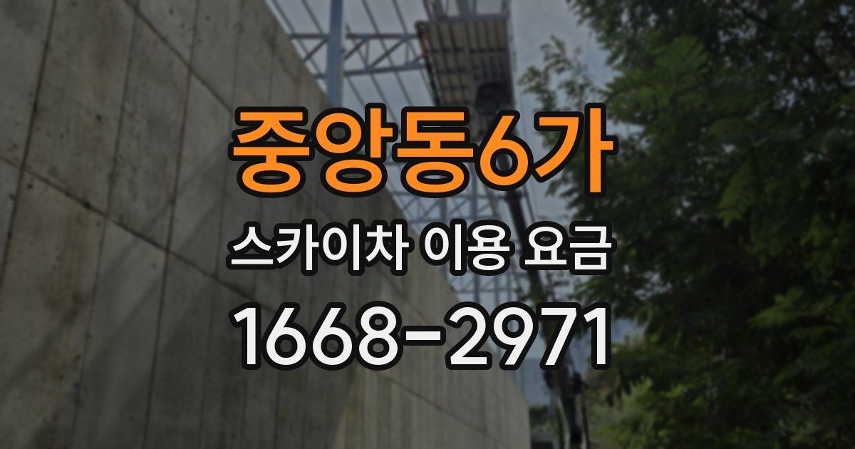 중앙동6가 스카이차 이용 요금