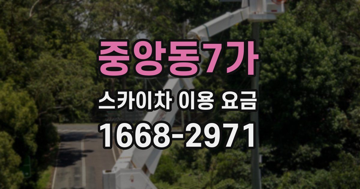 중앙동7가 스카이차 이용 요금