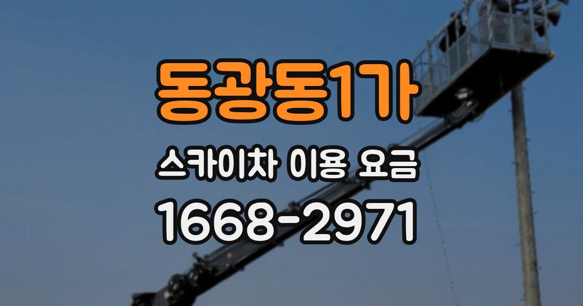 동광동1가 스카이차 이용 요금