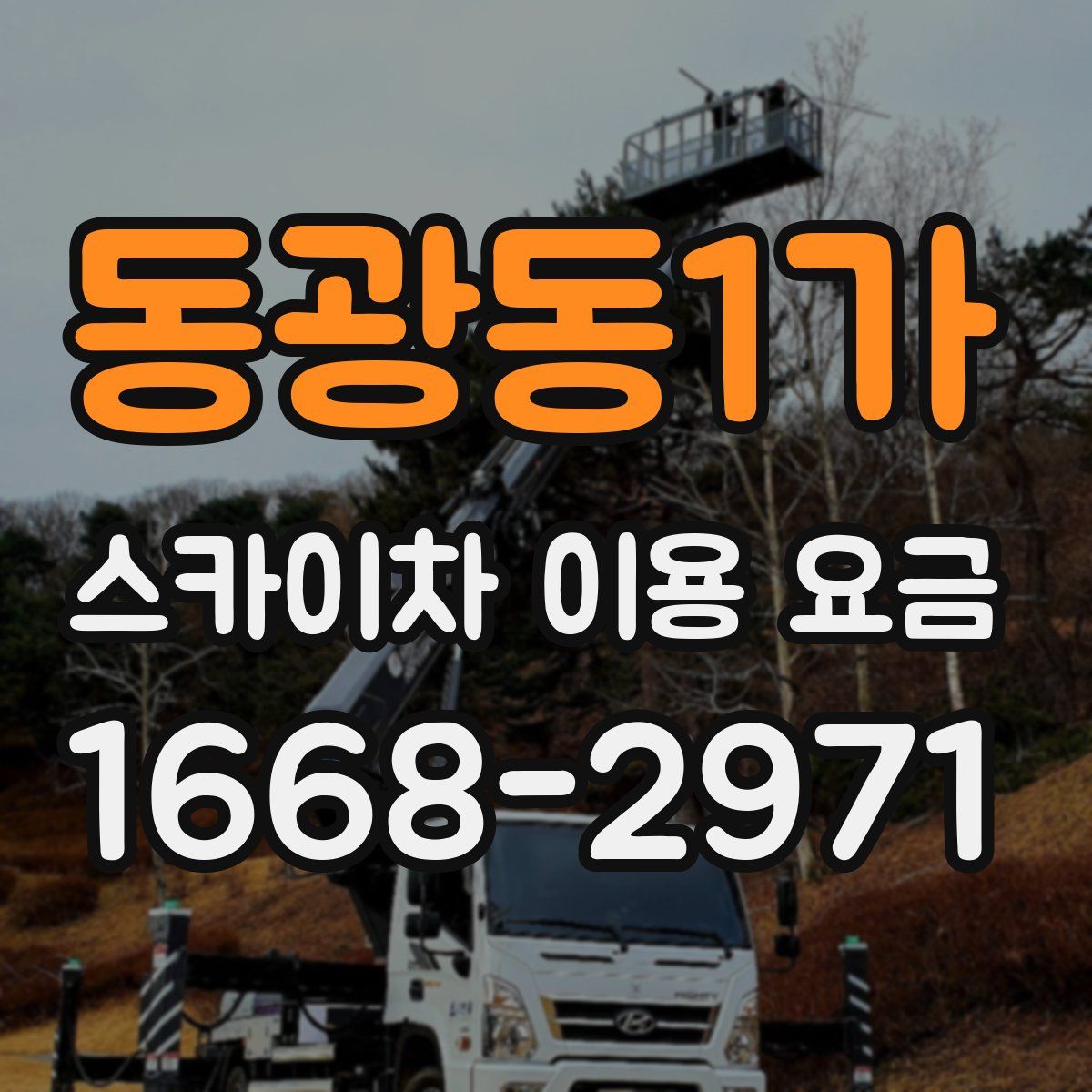 동광동1가 스카이차 이용 요금