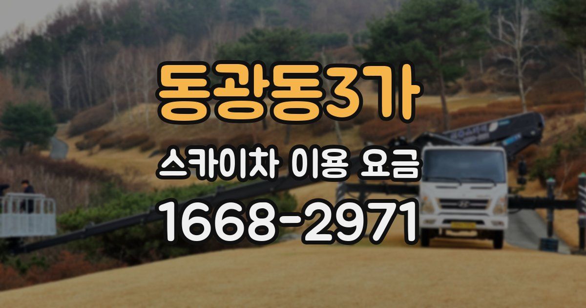동광동3가 스카이차 이용 요금