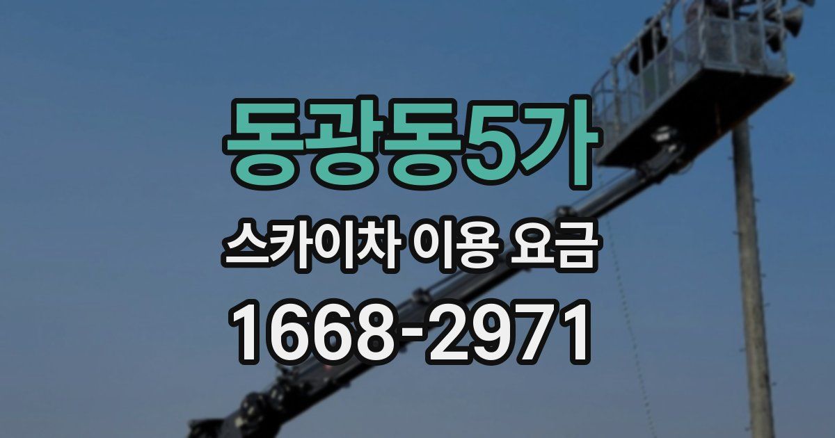 동광동5가 스카이차 이용 요금