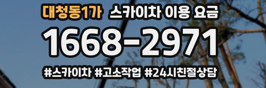 대청동1가 스카이차 이용 요금