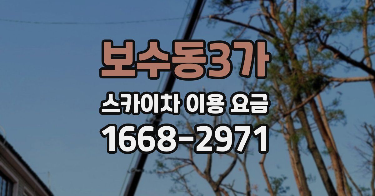 보수동3가 스카이차 이용 요금