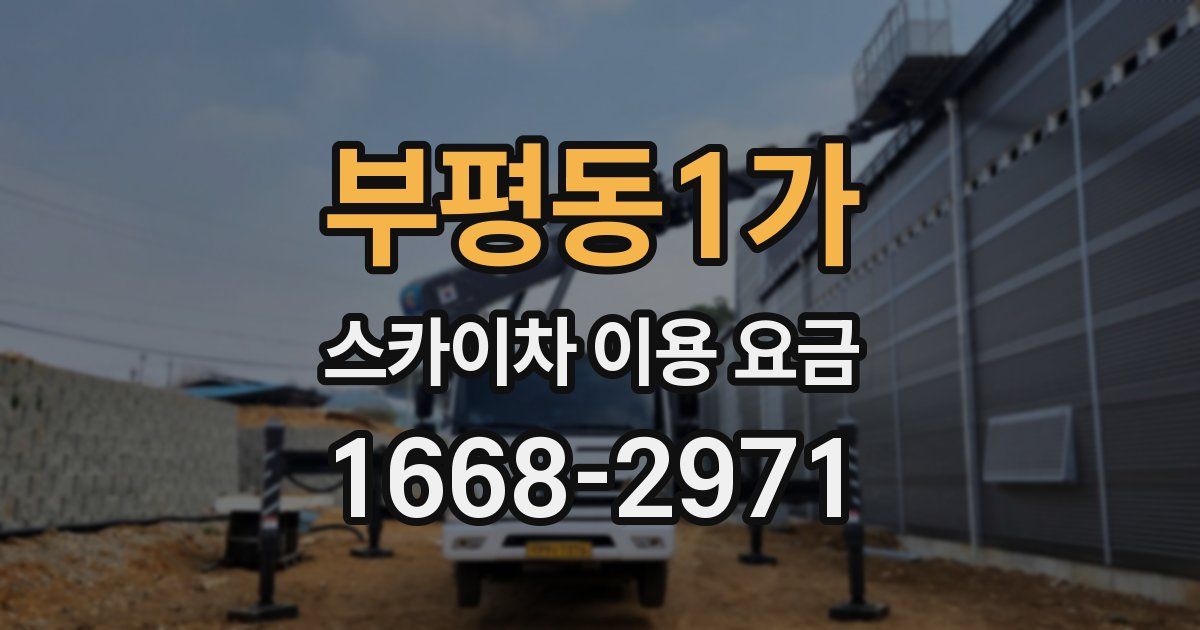 부평동1가 스카이차 이용 요금