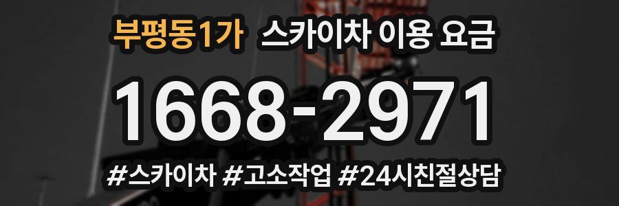 부평동1가 스카이차 이용 요금