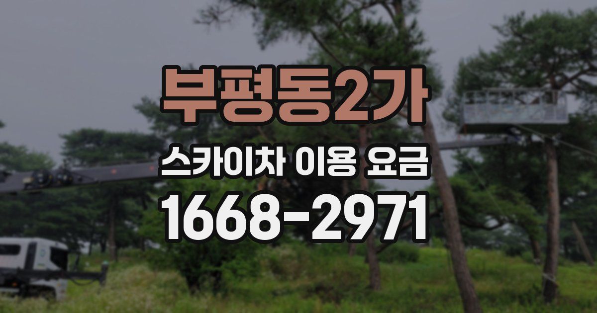 부평동2가 스카이차 이용 요금