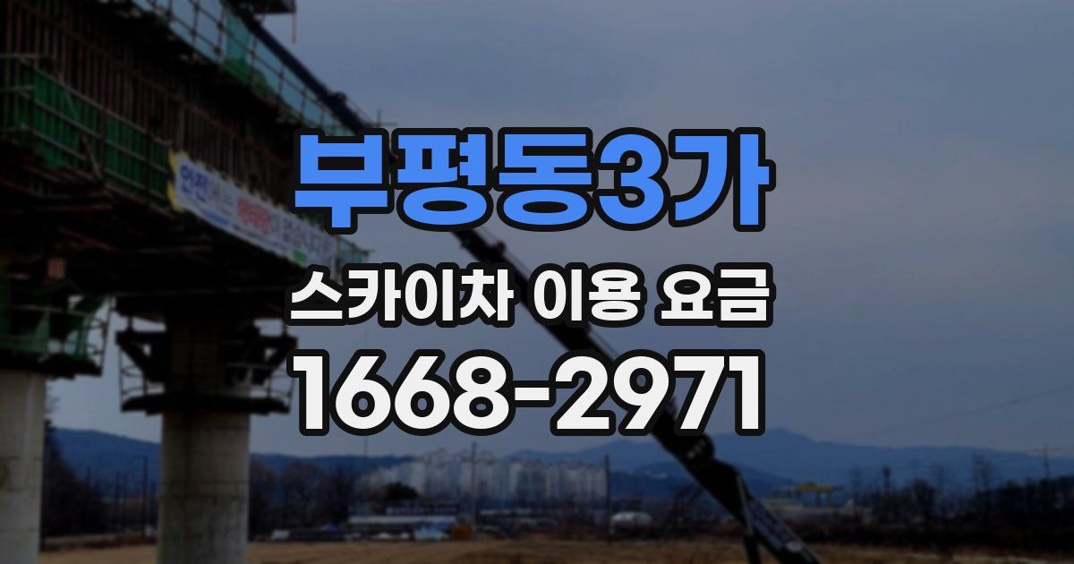 부평동3가 스카이차 이용 요금